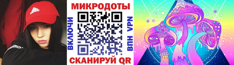 Галлюциногенные грибы GOLDEN TEACHER  купить наркотики цена  Мышкин 